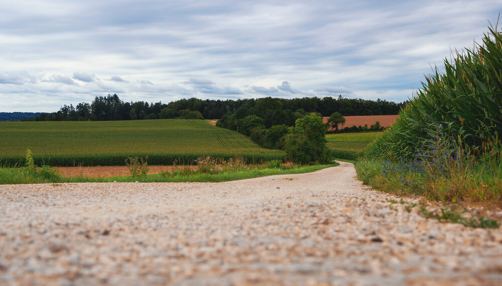 Žvyrkelis | Freepik