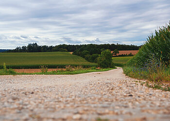 Šilalės rajono žvyrkelių atnaujinimams skirti 140 tūkst. eur