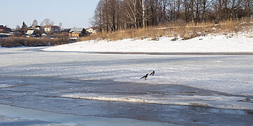 Pirmasis ledas ypač pavojingas, kaip saugiai juo džiaugtis?