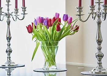 Į vazą su tulpėmis nedėkit nei monetų, nei cukraus: štai kas iš tikrųjų padės gėlėms ilgai išlikti tvirtoms ir šviežioms