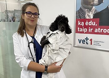 Įspėjimas augintinių šeimininkams – mieste paliktos augintinių „dovanėlės“ gali ir paploninti piniginę
