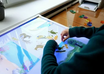 Ylakių gimnazijoje – moderni erdvė specialiųjų ugdymosi poreikių turintiems mokiniams