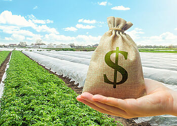 Ūkininkų pavasario sezonas: didžiausią nerimą kelia dešimtmetį nesikeičiančios supirkimo kainos