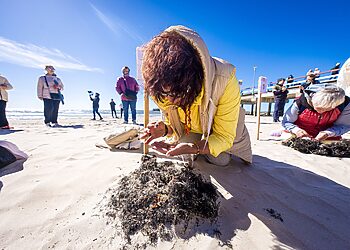 Gintarinis savaitgalis Palangoje – šventė, kurioje byra Lietuvos auksas