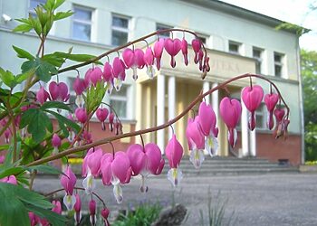Plungės biblioteka ragina vaikus nespjauti į poeziją