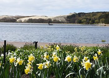 Šiandien ir rytoj iki 12 val. įvažiuojant į Neringą automobiliams mokestis netaikomas
