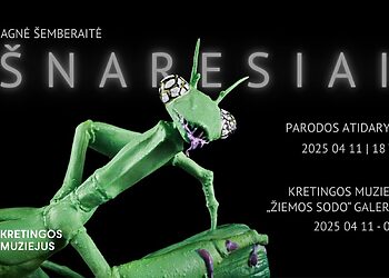 Nauja „Žiemos sodo“ galerijos intriga – Agnės Šemberaitės „Šnaresiai“, kviečiantys akistaton su baimėmis