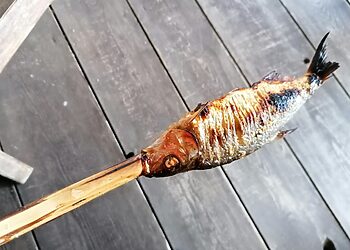 Nuo gegužės 16 d. įsigalioja draudimas gaudyti žiobrius