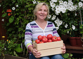 Šiltnamio paslaptys: kaip sulaukti derliaus, kurio pavydės kaimynai