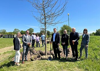 Rusnę papuošė net 20 pelkinių ąžuolų