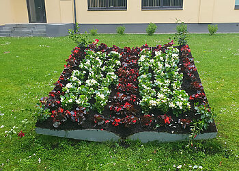 Mažeikiai žydi – pasodintos vasarinės gėlės