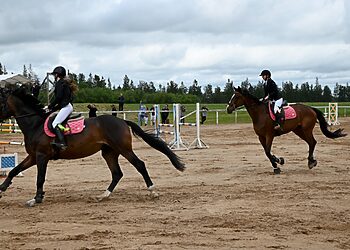 Rietavo žirgynas atšventė 15-os metų gimtadienį