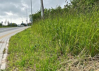 Klaipėdoje šienavimo kokybė įvertinta baudomis