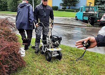 Mažeikiuose Skuodo gatvė gražėja: skiriamojoje juostoje bus pasodinta 3000 augalų