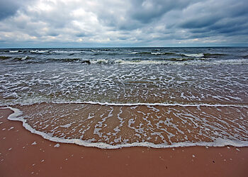 Konferencija ir paroda „M. K. Čiurlionis šiandien: Miškas, jūra ir…”
