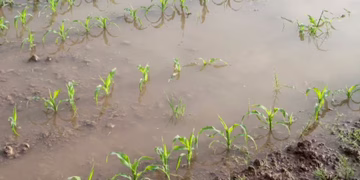 Informacija dėl paskelbtos valstybės lygio ekstremaliosios situacijos