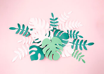 Nuo kitų metų – dažnesnis žaliųjų atliekų išvežimas