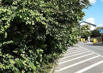 Raginame gyventojus apgenėti gyvatvores