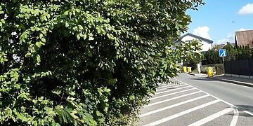 Raginame gyventojus apgenėti gyvatvores