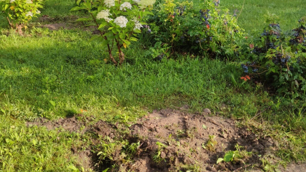 Mažeikių raj.sav.nuotr.