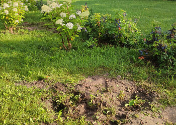 Neabejingų gyventojų dėka pažeidėjai nustatyti