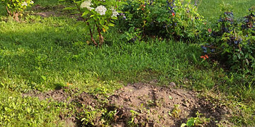 Neabejingų gyventojų dėka pažeidėjai nustatyti