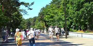 J. Basanavičiaus gatvėje bus keičiama mažoji architektūra