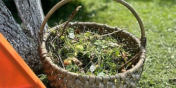 Rugpjūčio darbai: tinkamas žaliųjų atliekų tvarkymas