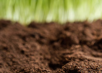 Vykdomi melioracijos griovių ir juose esančių statinių remonto darbai