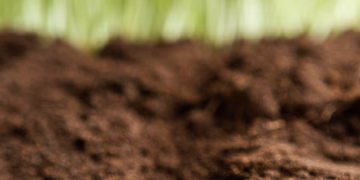 Vykdomi melioracijos griovių ir juose esančių statinių remonto darbai