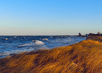Baltų vienybės diena Šventojoje