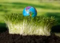 Klimato savaitės 2025 renginiai Klaipėdoje