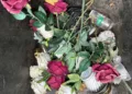 Gyventojai skatinami keisti kapų lankymo įpročius
