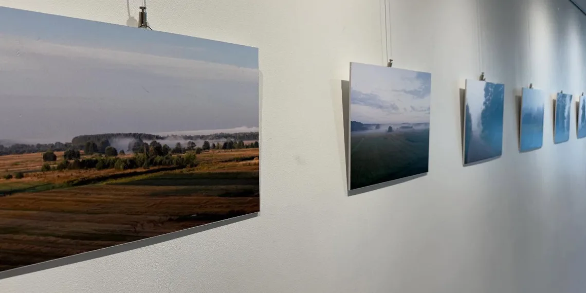 Palangos miesto savivaldybės viešoji biblioteka