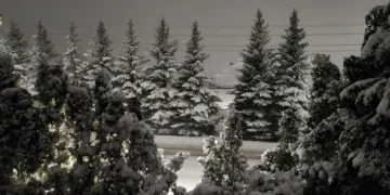 Per Lietuvą slenka sniego ciklonas – pietiniuose rajonuose sniego storis siekia 20 cm ir daugiau