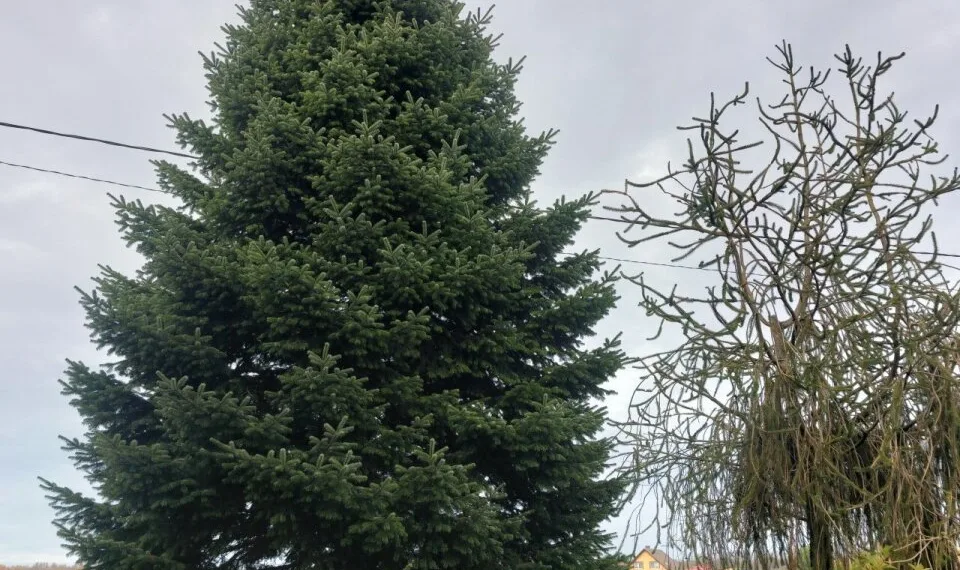 Kaipėdos m.sav.nuotr.