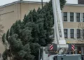 Į Klaipėdos Teatro aikštę atkeliavo svarbiausias Kalėdų simbolis – eglutė