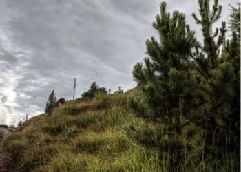 Atgis Raseinių rajono piliakalniai