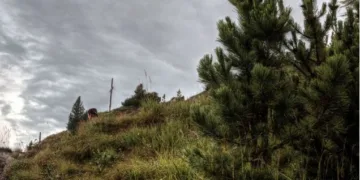 Atgis Raseinių rajono piliakalniai