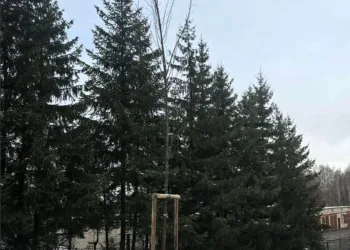 Raseiniuose – naujas žaliasis plotas prie Stonų ir Garažų gatvių