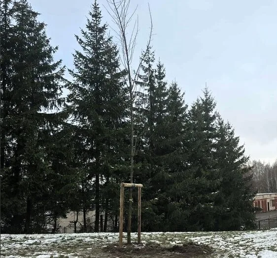 Raseinių raj.sav.nuotr.