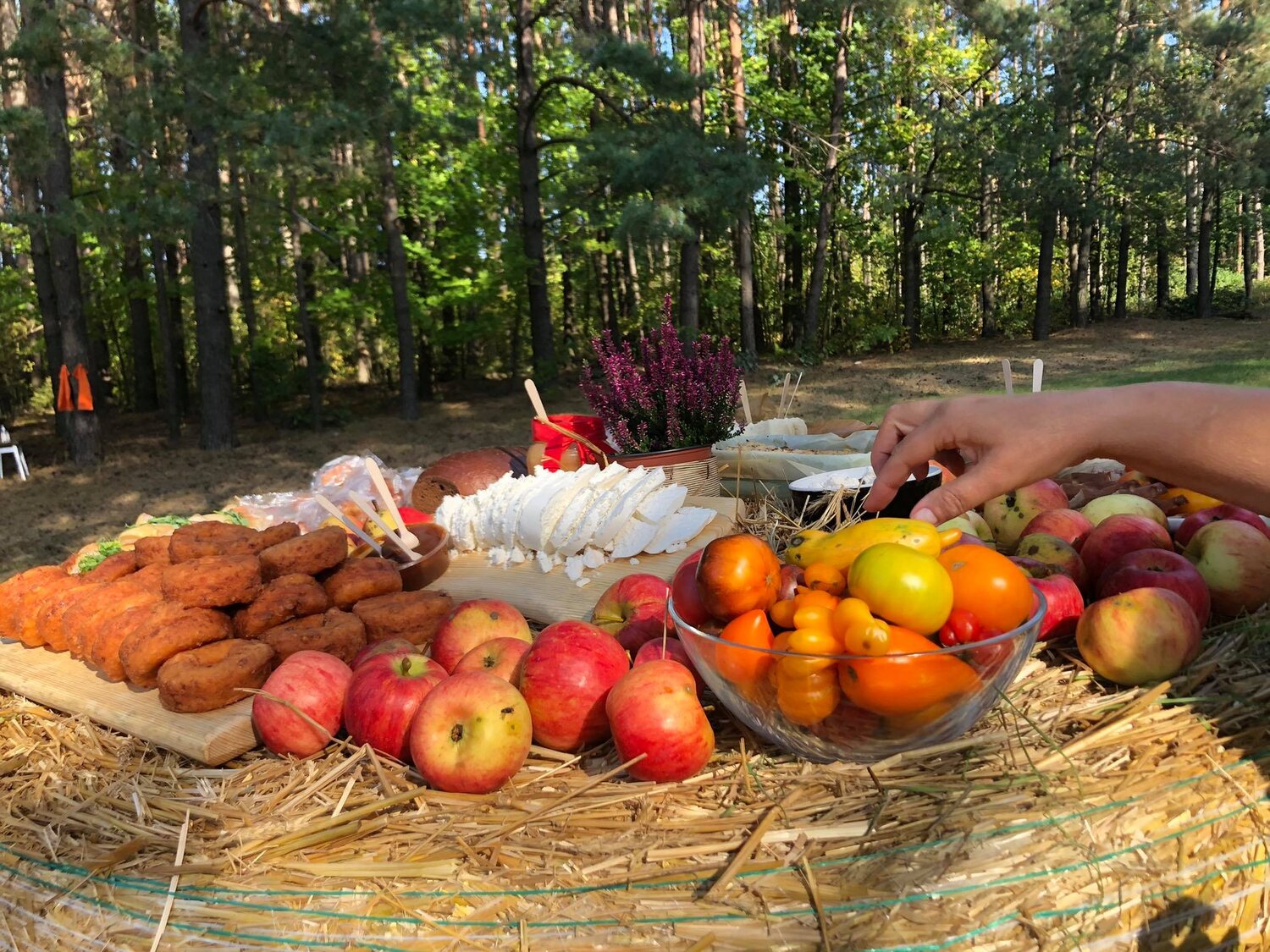 Kelionės ne dėl nuotraukų, o dėl patirčių: keičiasi lietuvių kelionių vertybės