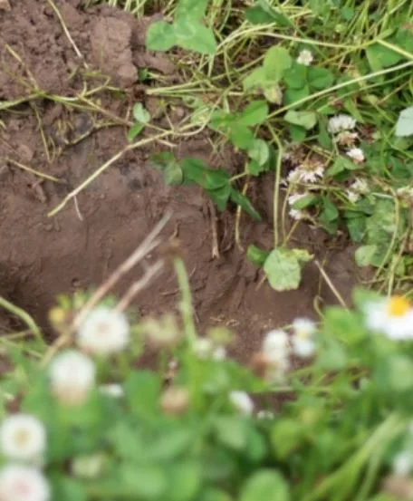 Plungės raj.sav.nuotr.