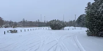 Ventos upės slėnio pritaikymas lankymui. Mažeikių raj.sav.nuotr.