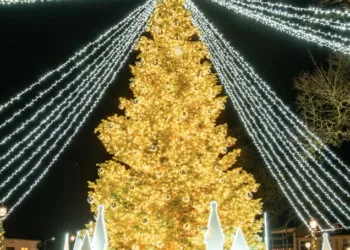 Kretingoje kalėdine šviesa sutvisko užburianti žaliaskarė