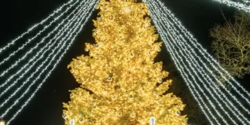 Kretingoje kalėdine šviesa sutvisko užburianti žaliaskarė