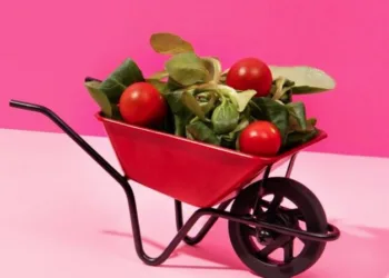 Šį savaitgalį parduotuvėse vyks „Maisto banko“ akcija 