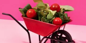 Šį savaitgalį parduotuvėse vyks „Maisto banko“ akcija 