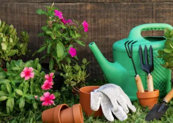 Mažeikių sodininkų bendrijoms – dvigubai daugiau paramos lėšų