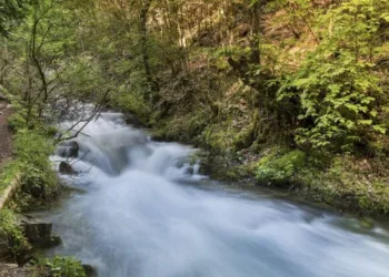 Sedos ežero ir Varduvos upės slėnio pritaikymas lankymui